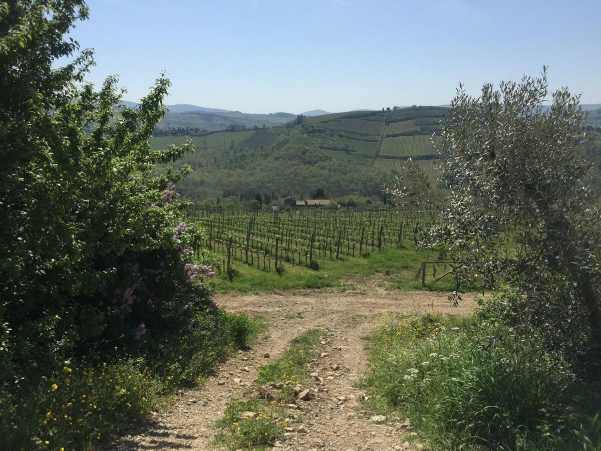 Apartamento Casa Ana Greve in Chianti Exterior foto