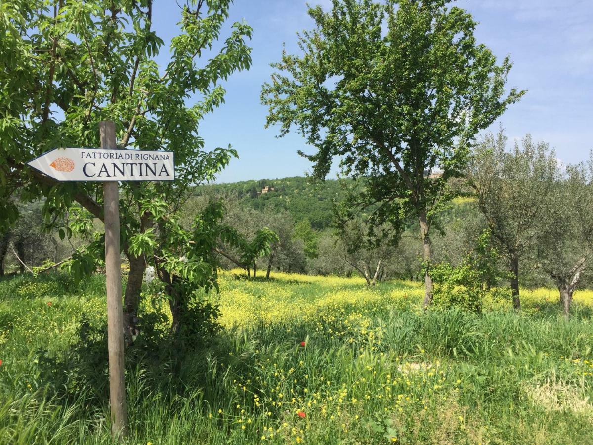 Apartamento Casa Ana Greve in Chianti Exterior foto